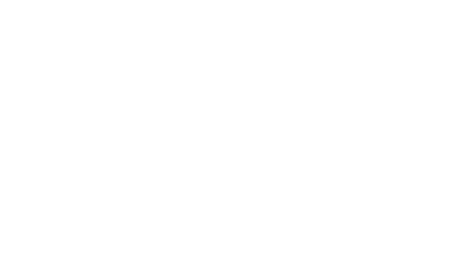 Ally Logo